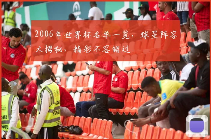 2006年世界杯名单一览，球星阵容大揭秘，精彩不容错过