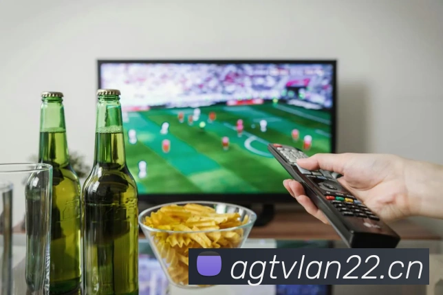 西班牙世界杯APP 高清赛事图